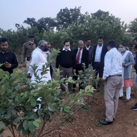 पर्यावरण दिवस में पौधे रोपकर पर्यावरण बचाने का संकल्प लिया